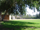 Enlarge photo 56