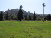 Enlarge photo 57