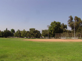 Enlarge photo 59