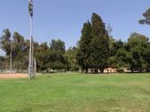 Enlarge photo 60