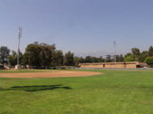 Enlarge photo 63