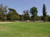 Enlarge photo 81
