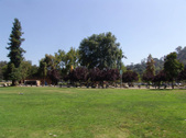 Enlarge photo 82