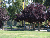 Enlarge photo 85