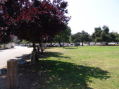 Enlarge photo 86