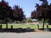 Enlarge photo 87