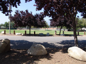 Enlarge photo 88