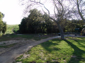 Enlarge photo 1