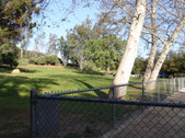 Enlarge photo 38