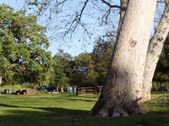 Enlarge photo 39
