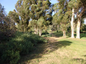 Enlarge photo 41