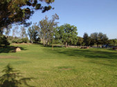Enlarge photo 42