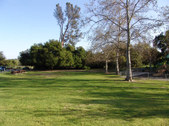 Enlarge photo 43