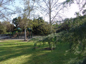 Enlarge photo 44