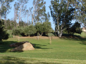 Enlarge photo 47