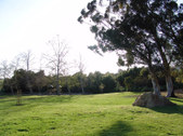 Enlarge photo 49