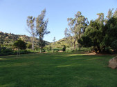 Enlarge photo 51