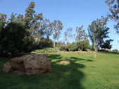 Enlarge photo 52