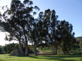 Enlarge photo 53