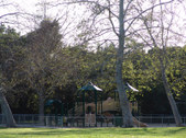 Enlarge photo 54