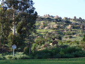 Enlarge photo 56