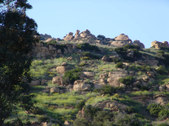 Enlarge photo 57