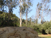 Enlarge photo 58