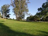 Enlarge photo 59