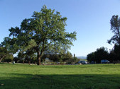 Enlarge photo 60