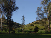 Enlarge photo 62