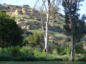 Enlarge photo 63