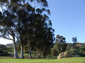 Enlarge photo 64