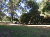 Enlarge photo 1