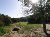 Enlarge photo 29