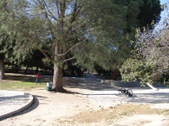 Enlarge photo 31