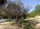Enlarge photo 32