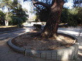 Enlarge photo 33