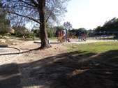 Enlarge photo 35