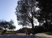 Enlarge photo 41