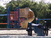 Enlarge photo 43