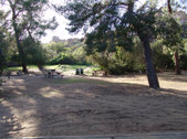 Enlarge photo 45