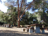 Enlarge photo 49