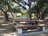 Enlarge photo 51
