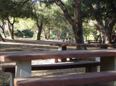 Enlarge photo 52
