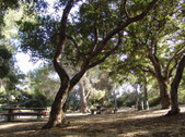 Enlarge photo 53