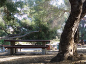 Enlarge photo 54