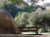 Enlarge photo 57