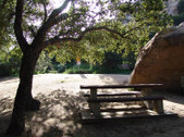 Enlarge photo 59