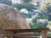Enlarge photo 61