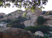 Enlarge photo 62